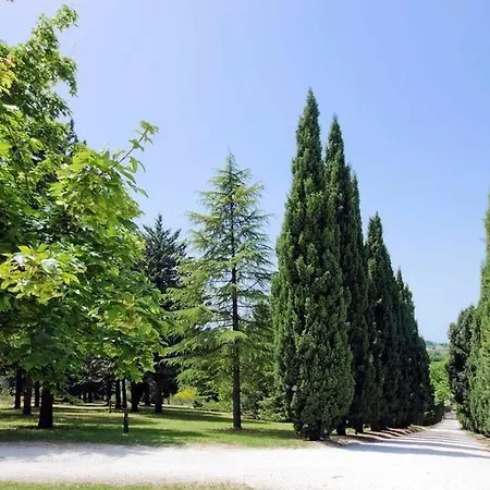 Convento Di San Francesco 住宿加早餐酒店 Mondaino