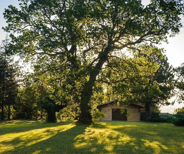 Convento Di San Francesco