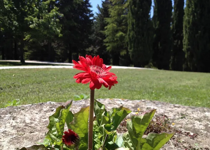 Frühstückspension Convento Di San Francesco *