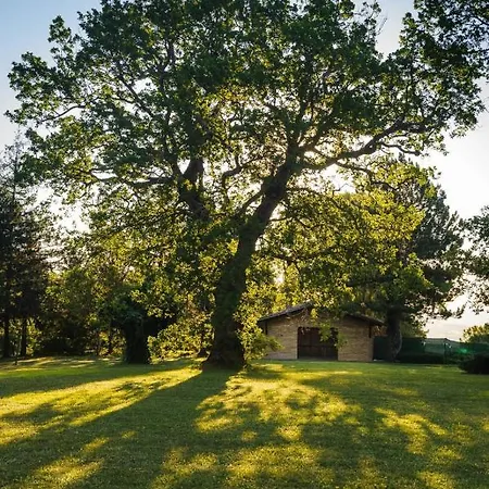 Convento Di San Francesco