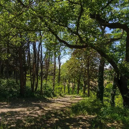 Convento Di San Francesco Panzió *